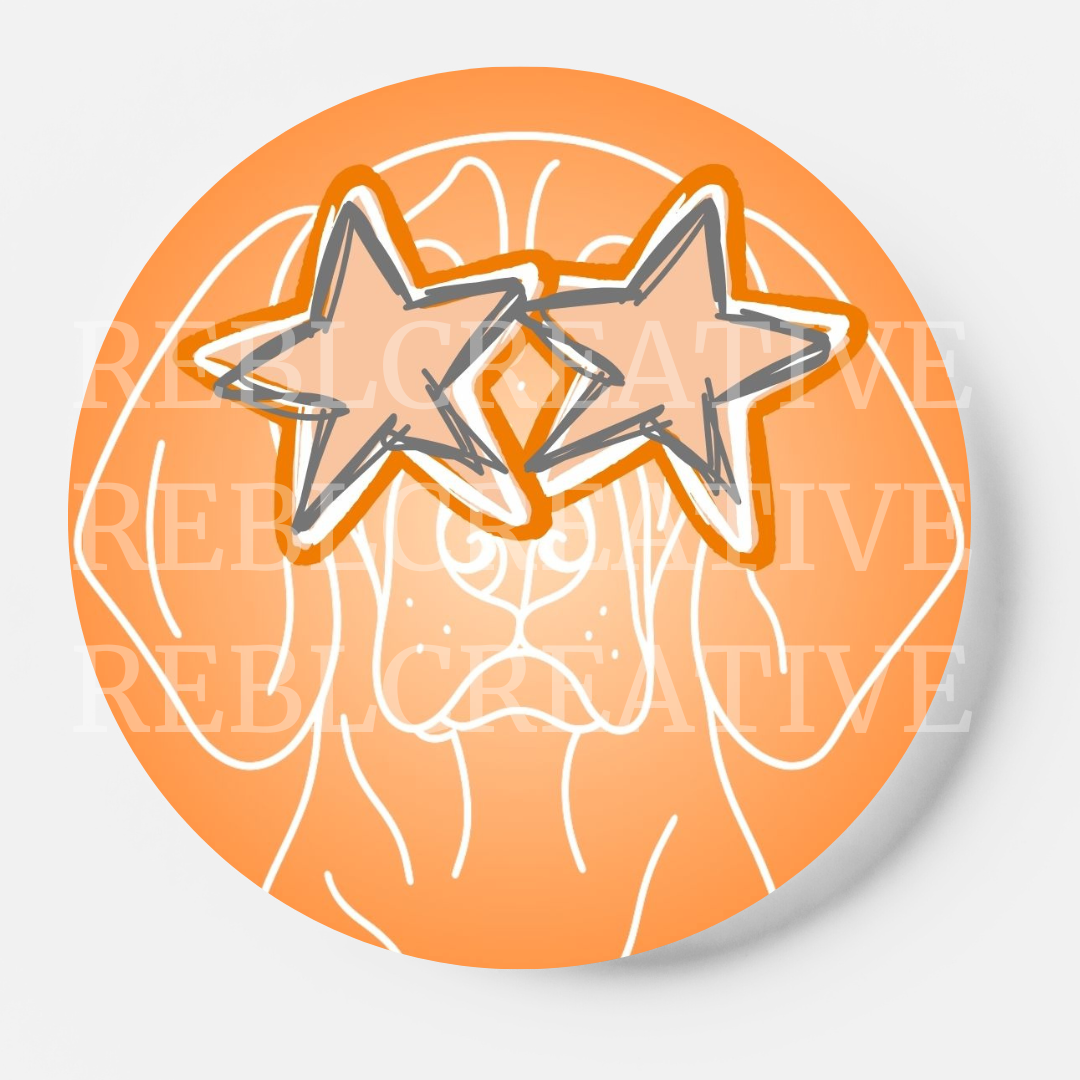 All Star - Dog - Orange