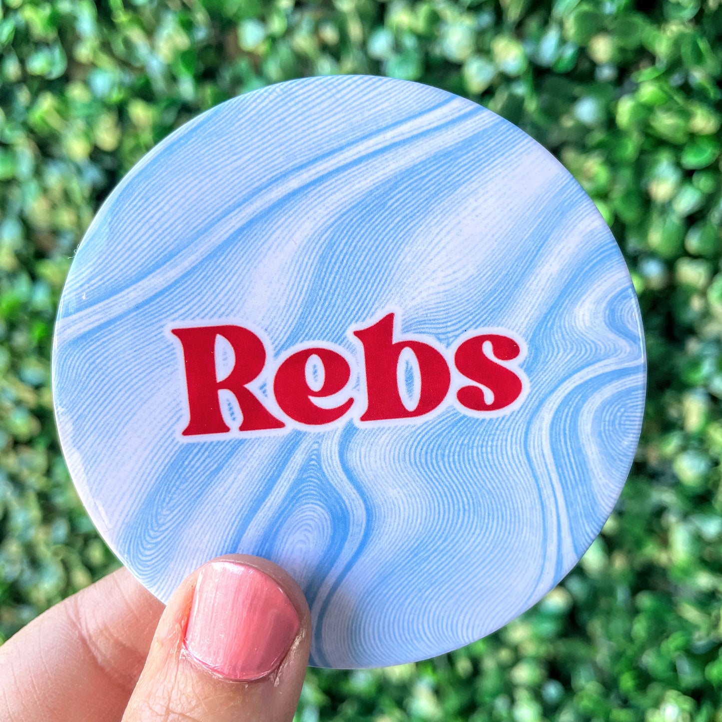 Home Team - Rebs