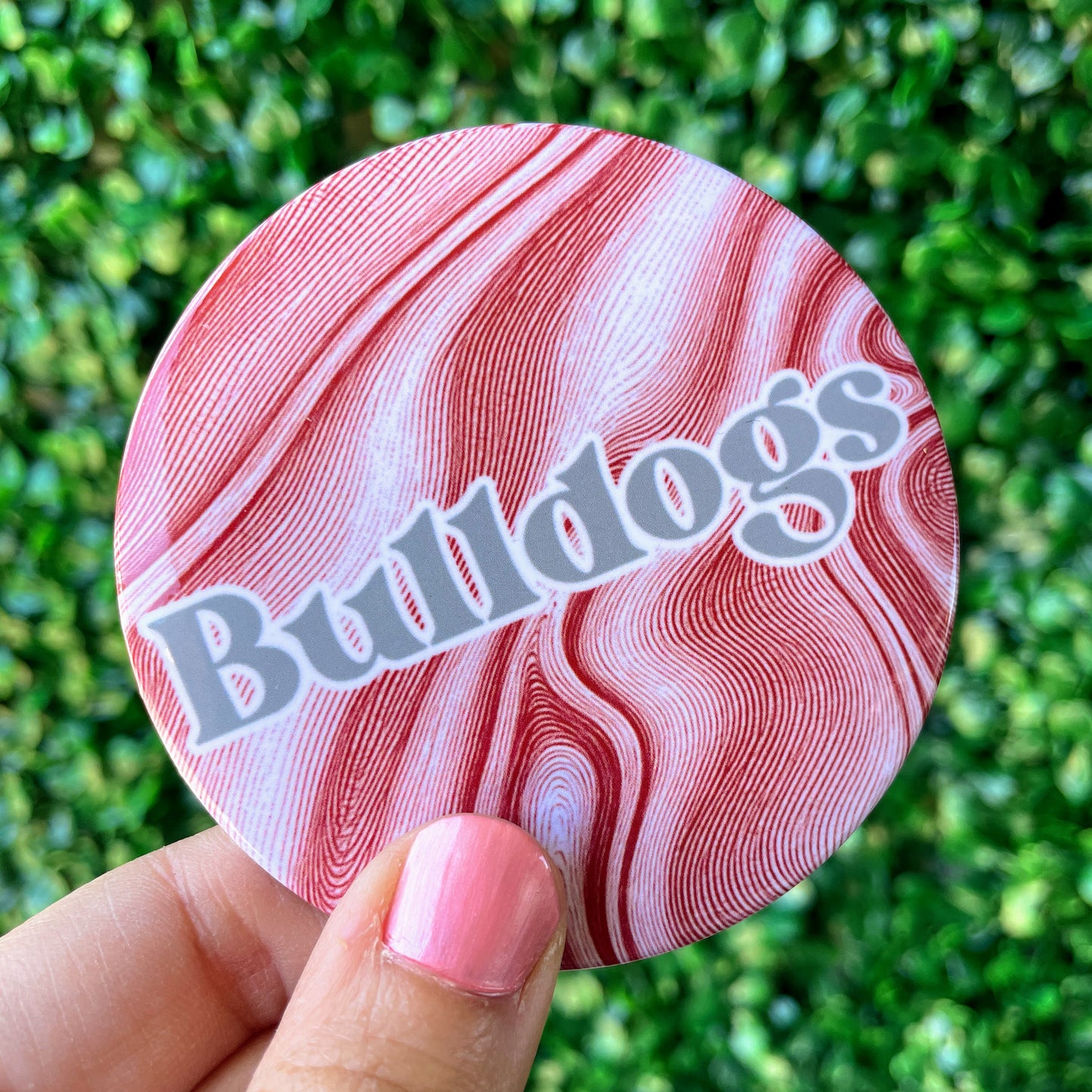 Home Team - Bulldogs