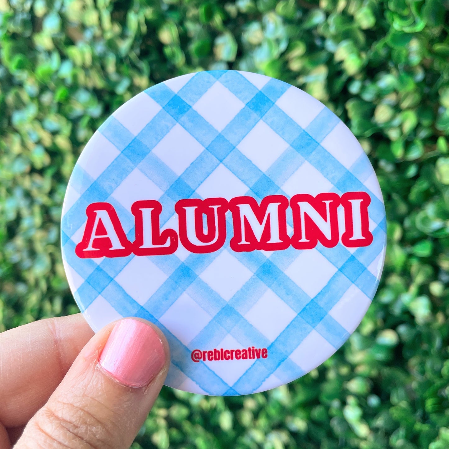 Alumni Gingham - Red and Sky