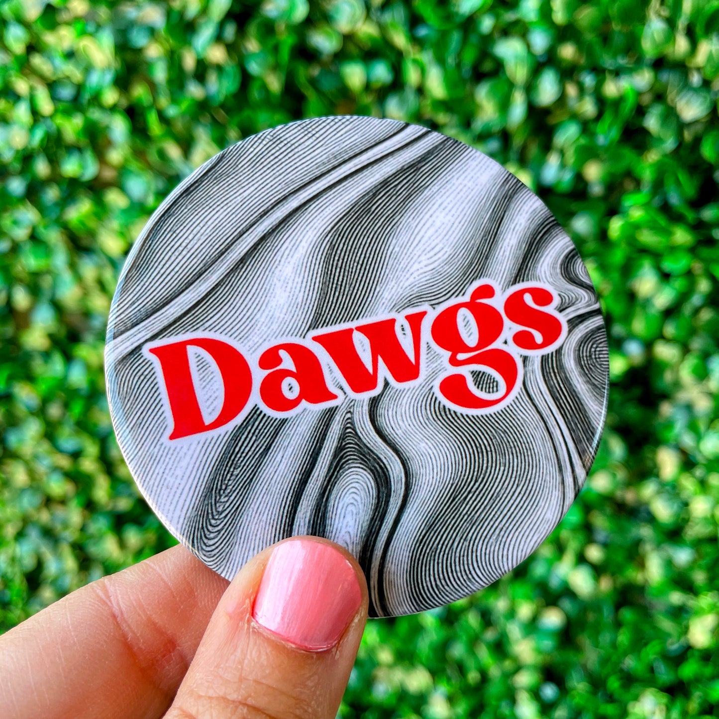 Home Team - Dawgs