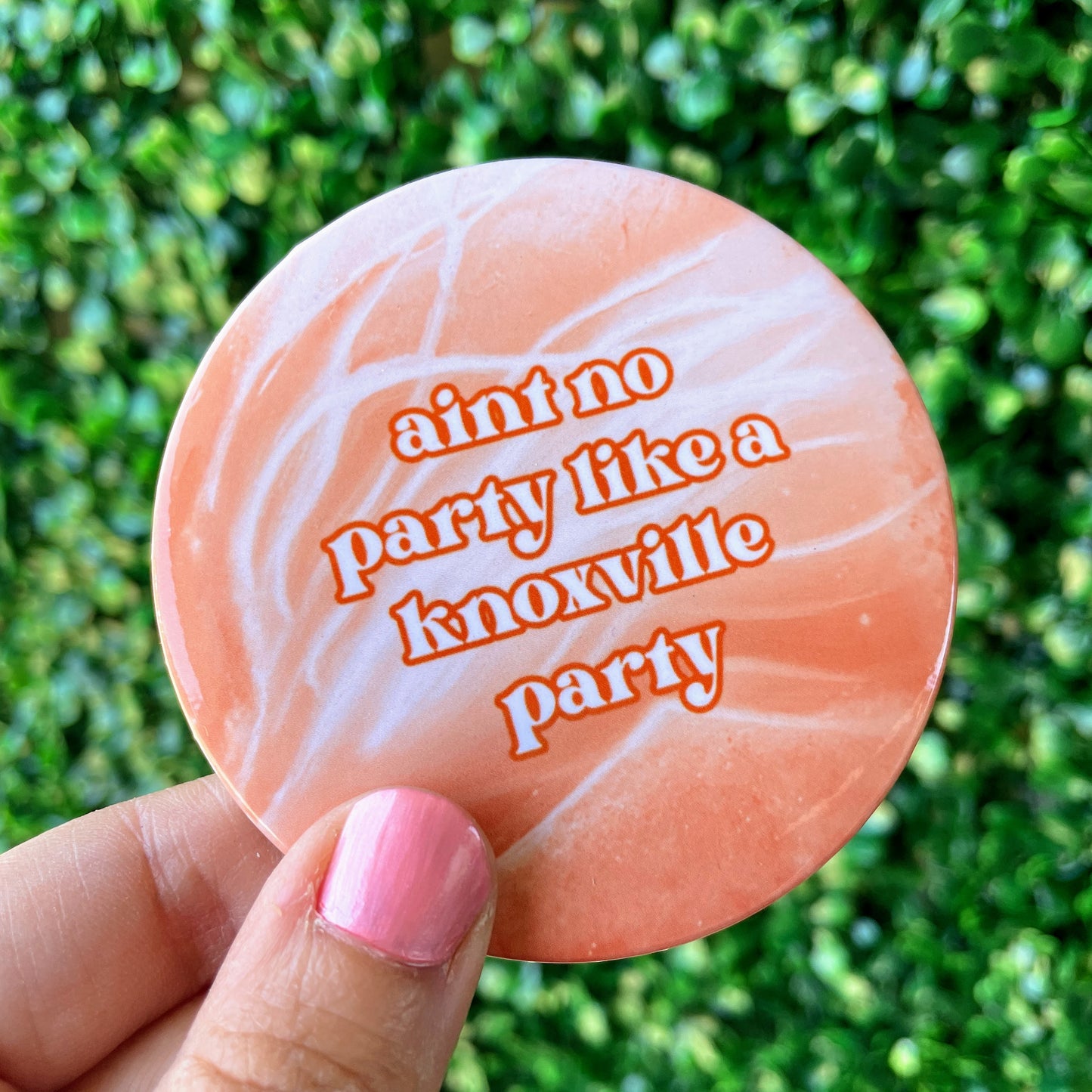 Party - Knoxville